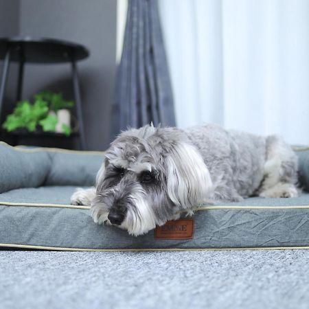 ペットと泊まれる宿 Doggoinn نيغاتا المظهر الخارجي الصورة