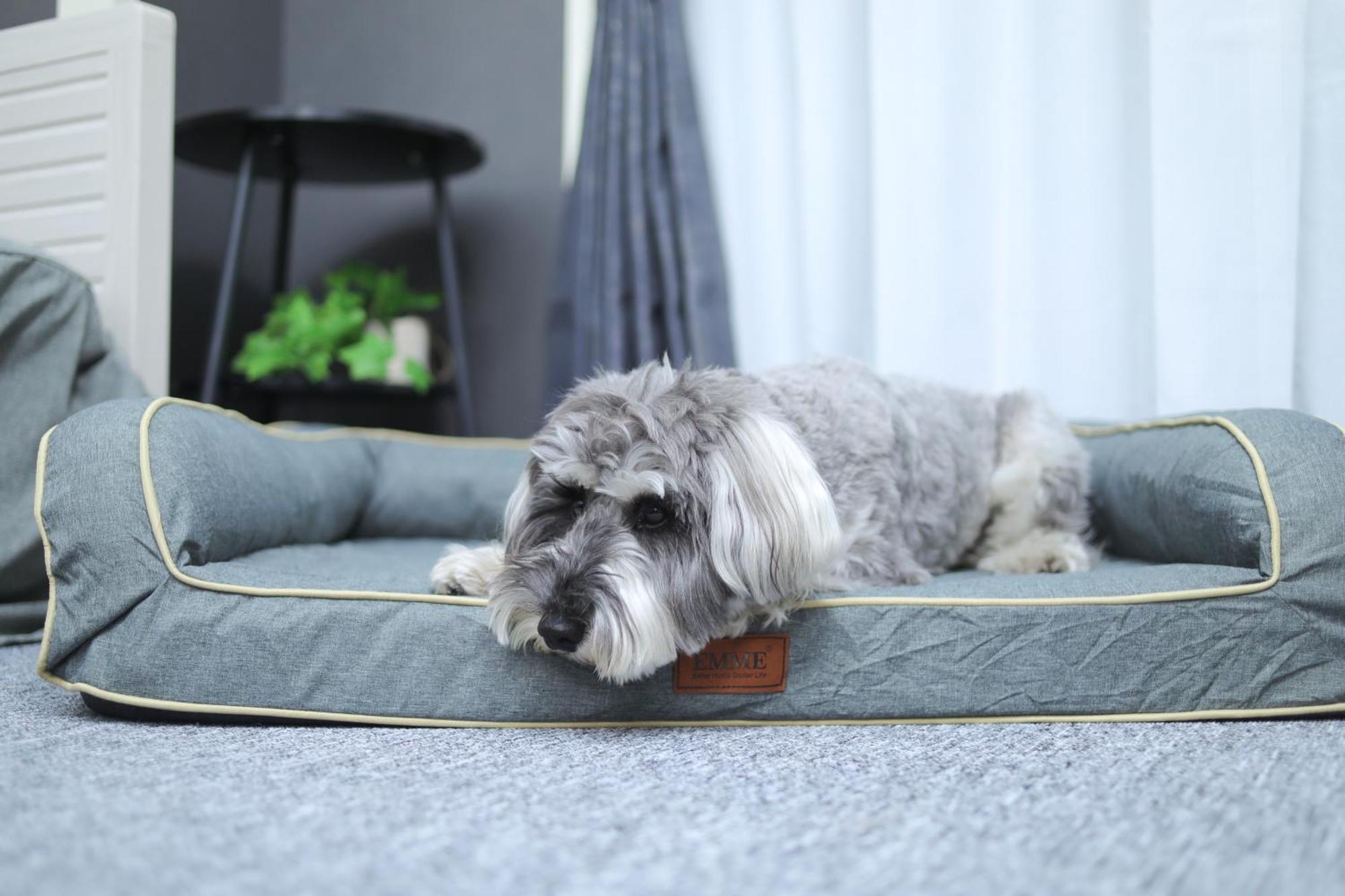 ペットと泊まれる宿 Doggoinn نيغاتا المظهر الخارجي الصورة