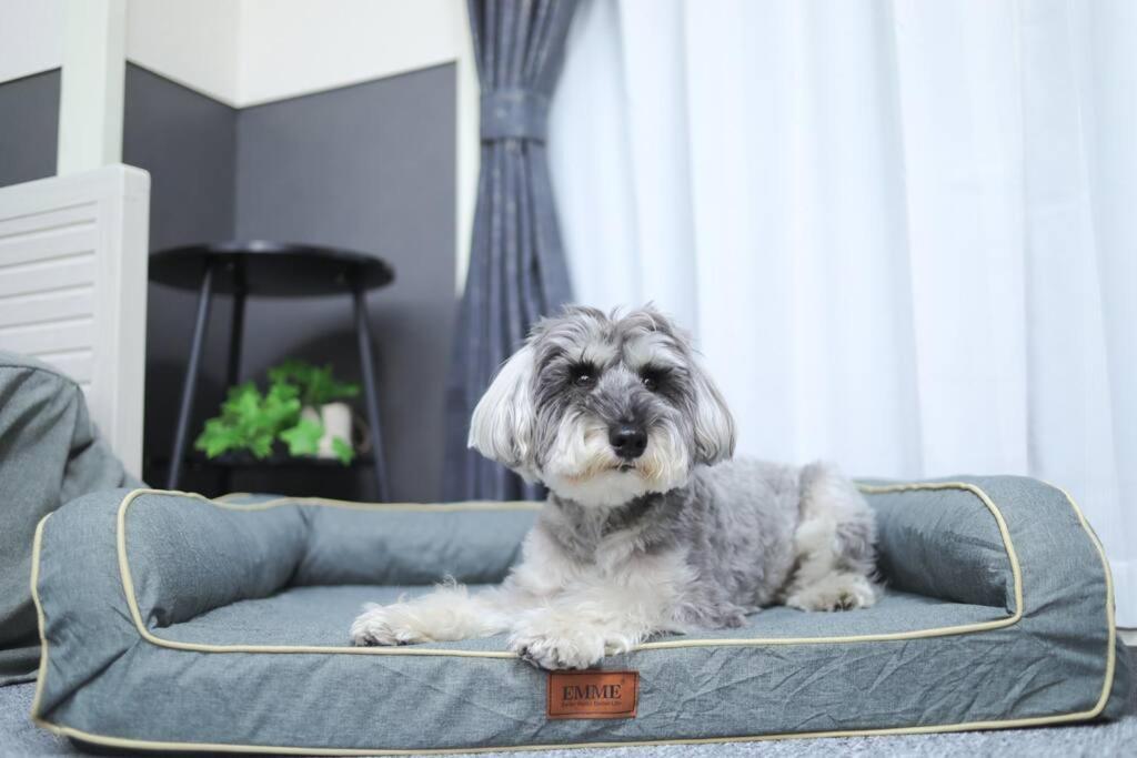 ペットと泊まれる宿 Doggoinn نيغاتا المظهر الخارجي الصورة
